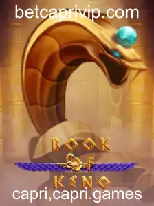 Explorando o Fascinante Mundo de BookOfKeno