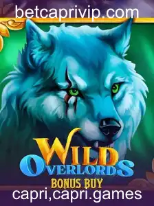 WildOverlordsBonusBuy: Um Mergulho no Mundo dos Senhores Selvagens
